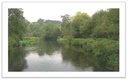 The River Avon in the Woodford Valley